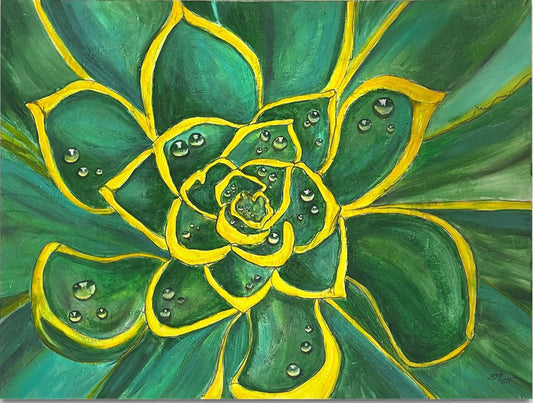 Radiant Succulent